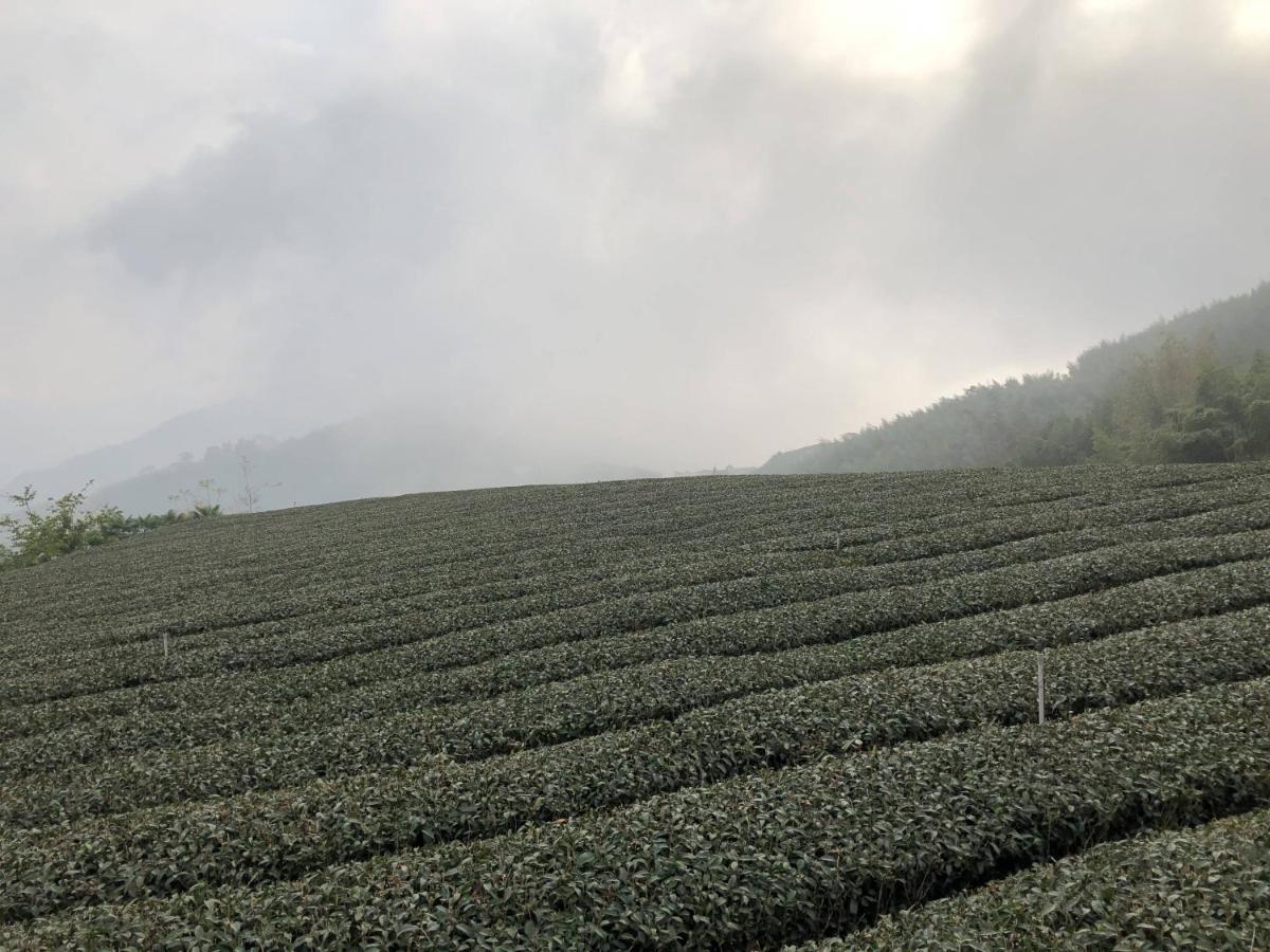 悟 佐茶 Satori Tea Villa Leye Eksteriør billede